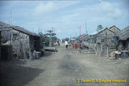 1 Tram Chim street.jpg